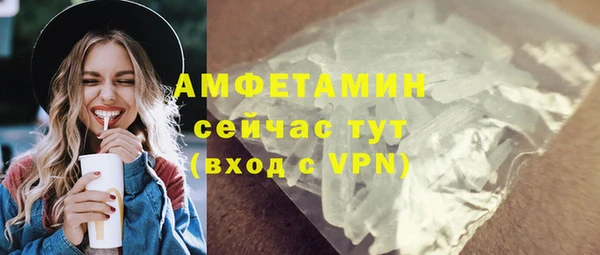 гашик Гусев