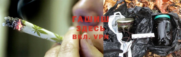 сатива Тобольск