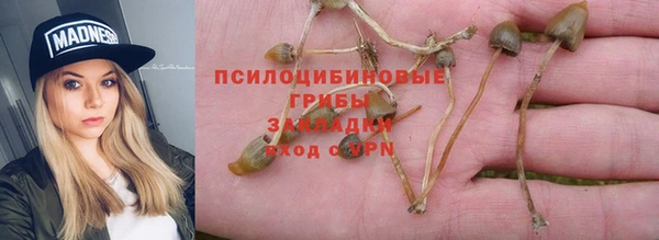гидропоника Гусь-Хрустальный