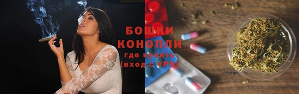 гидропоника Гусь-Хрустальный