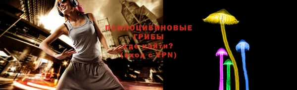 гидропоника Гусь-Хрустальный