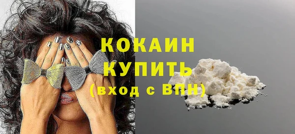сатива Тобольск