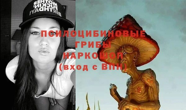 гидропоника Гусь-Хрустальный