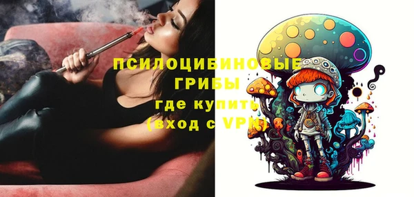 гидропоника Гусь-Хрустальный