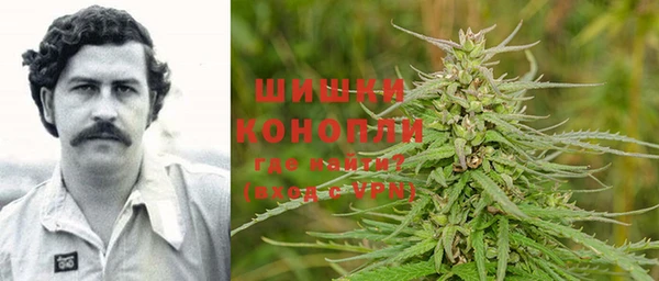 гашик Гусев