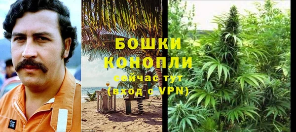 гашик Гусев