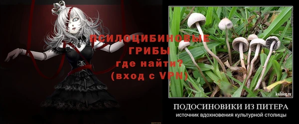гидропоника Гусь-Хрустальный