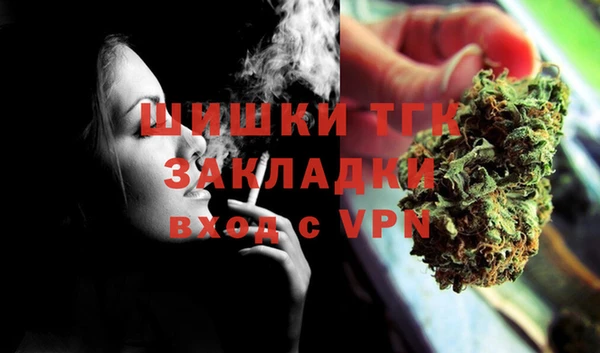гашик Гусев